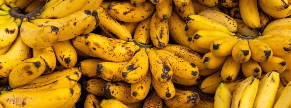 Pão de banana fermentado com pasta de amendoim Holy: a receita ancestral que virou tendência de novo