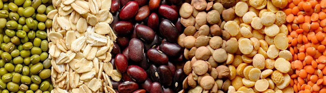 Proteína vegetal além da soja: por que feijão, grão-de-bico e castanhas são os novos protagonistas da mesa saudável?