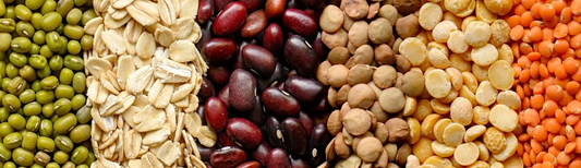 Proteína vegetal além da soja: por que feijão, grão-de-bico e castanhas são os novos protagonistas da mesa saudável?